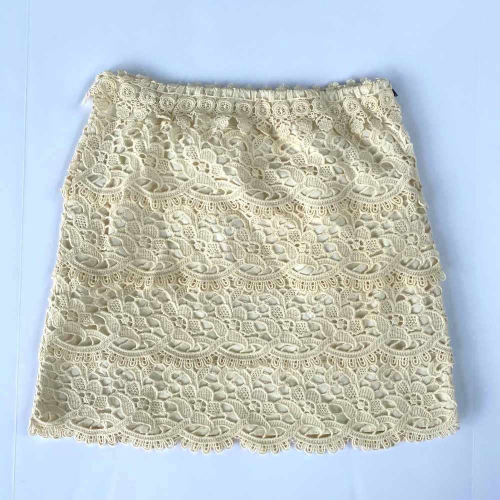 Ann Taylor Loft Eyelet Crochet Lined Skirt